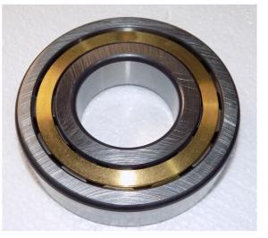 Подшипник (50х110х27) вала ведущего TSS-CP-350/Bearing 23NJ310EM1C4, №34