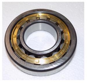 Подшипник (50х110х27) виброузла TSS-CP-350/Bearing 23NJ310EM1, №19