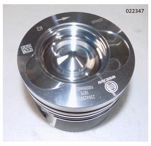 Поршень WP2.3D33E200/Piston