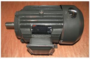 Электродвигатель ТСС GQ 40A/(YH100L-2, N 3.0kw, U=380V, n=2800Об/мин) DALI-3KW-2 HORIZONTAL MOTOR (G