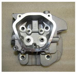 Головка блока цилиндра GX 390/Cylinder head, Assy