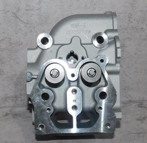 Головка блока цилиндра SDG 5500EHA,CP188FE (в сборе - клапаны,пружины) Cm / Cylinder head assy (20023-00056-00)