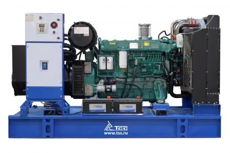 Дизельная электростанция в контейнере с АВР 200 кВт ТСС АД-200С-Т400-2РНМ7