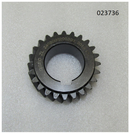 Шестерня вала коленчатого TDQ 15 4L/Timing gear crankshaft